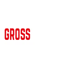 GrossMotors